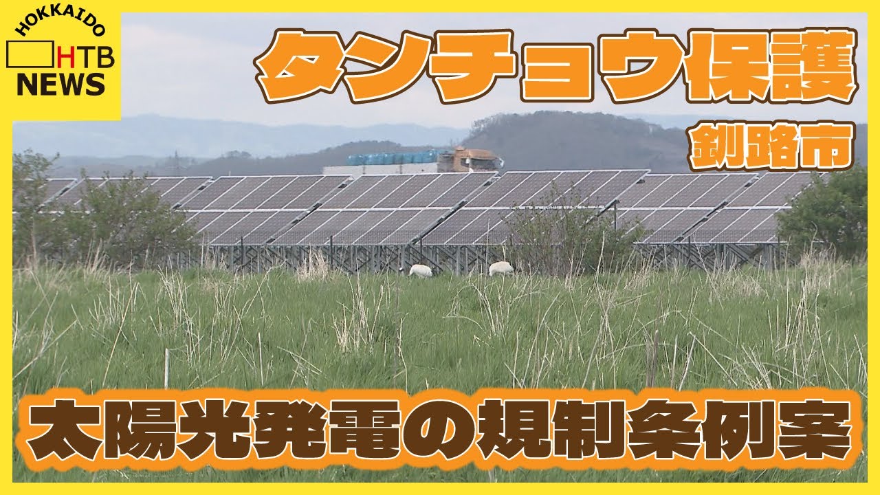 タンチョウなど希少生物の保護 急増する太陽光発電施設の規制へ 条例案