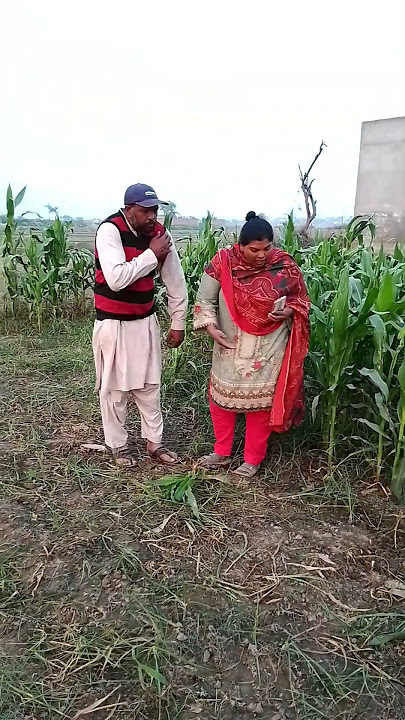 #haveitoldyoulate #funny #lifeisbutadream