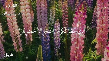 قرآن كريم بصوت هزاع البلوشي // اجمل حالات واتس اب دينية // تلاوة رائعة
