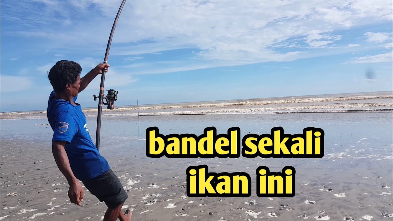 MANCING PASIRAN | UMPAN IKAN BELANAK | SAAT AIR KERUH