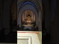 💫 Karel Gott - Dny zázraků a přání... Jsou svátky 🎄🌟