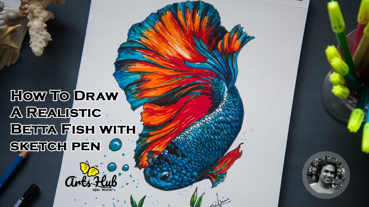 How To Draw A Realistic Betta Fish ( Fighter fish) Step by Step with ...