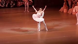 Шедевр Мариинского театра: "Адажио" из балета "Щелкунчик" 31 декабря 2023 года