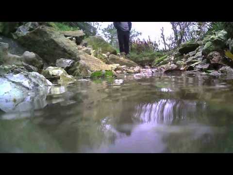 Oregon Scientific ATC mini 720p HD action camera - Filling the stream (under water) - Dougal lick