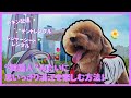 今、ここ、ソウル：漢江ピクニック編