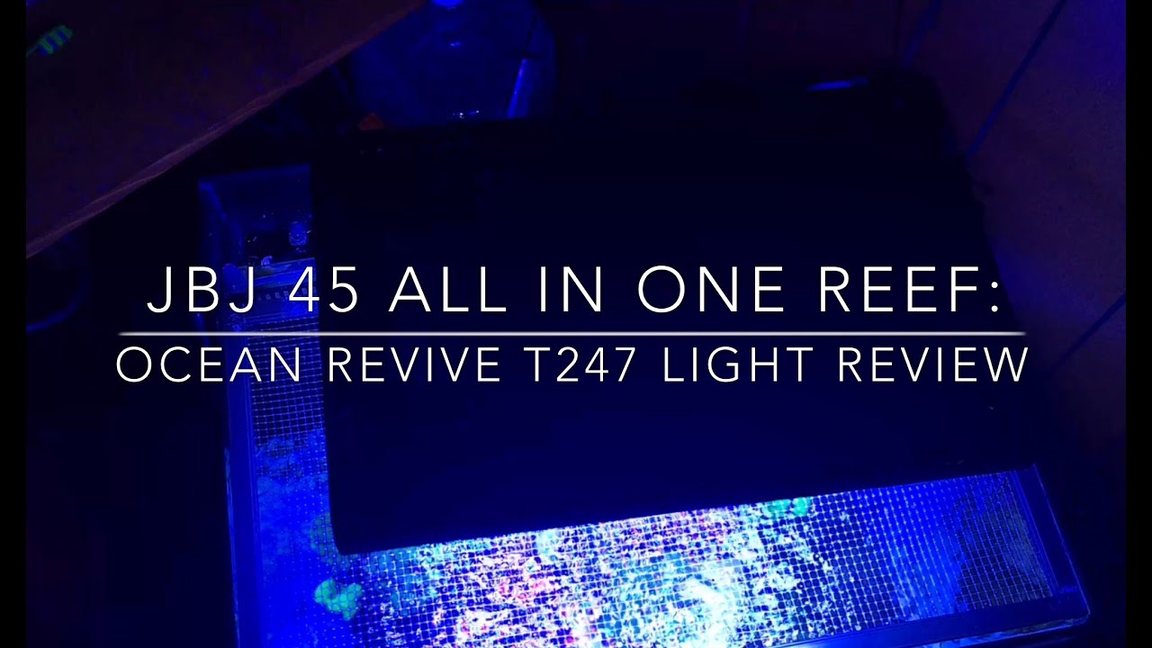 Ocean Revive T247 LED Light 8 month Review !! YouTube