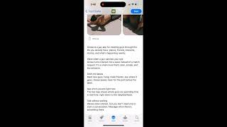 Goose app review