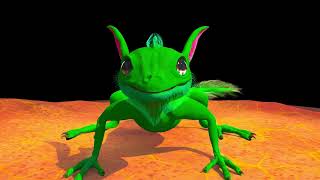 Squirreliskturnaround - Carolina Miranda Soriano