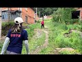 Abandoned puppy rescued in a ghost town