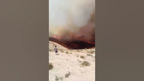 ولاية عين الدفلى تحترق غابة العناب العامرة 
