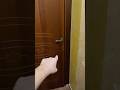 Mai chiuderti nella stanza dei tuoi genitori da solo perché ci sono i mostri…???? #shorts #horror