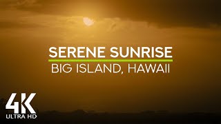 Tropical Birds Singing at Sunrise in Hawaii - Peaceful & Relaxing Morning Atmosphere - Episode 2