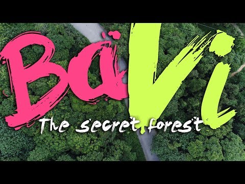 BaVi - Travel Video