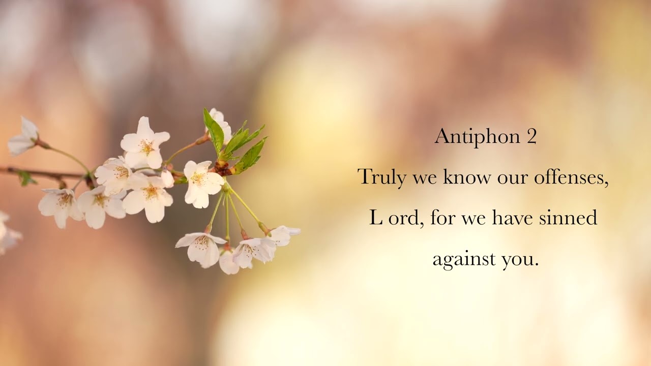 Daily Lauds (Morning Prayer)