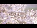 Spring memories —N.FLYING (Sub. Español)