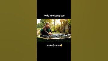 🐊Thằng Đạt 09 lại làm khổ bà rồi! 🤣 #shorts #quangcaodaiviet #funny