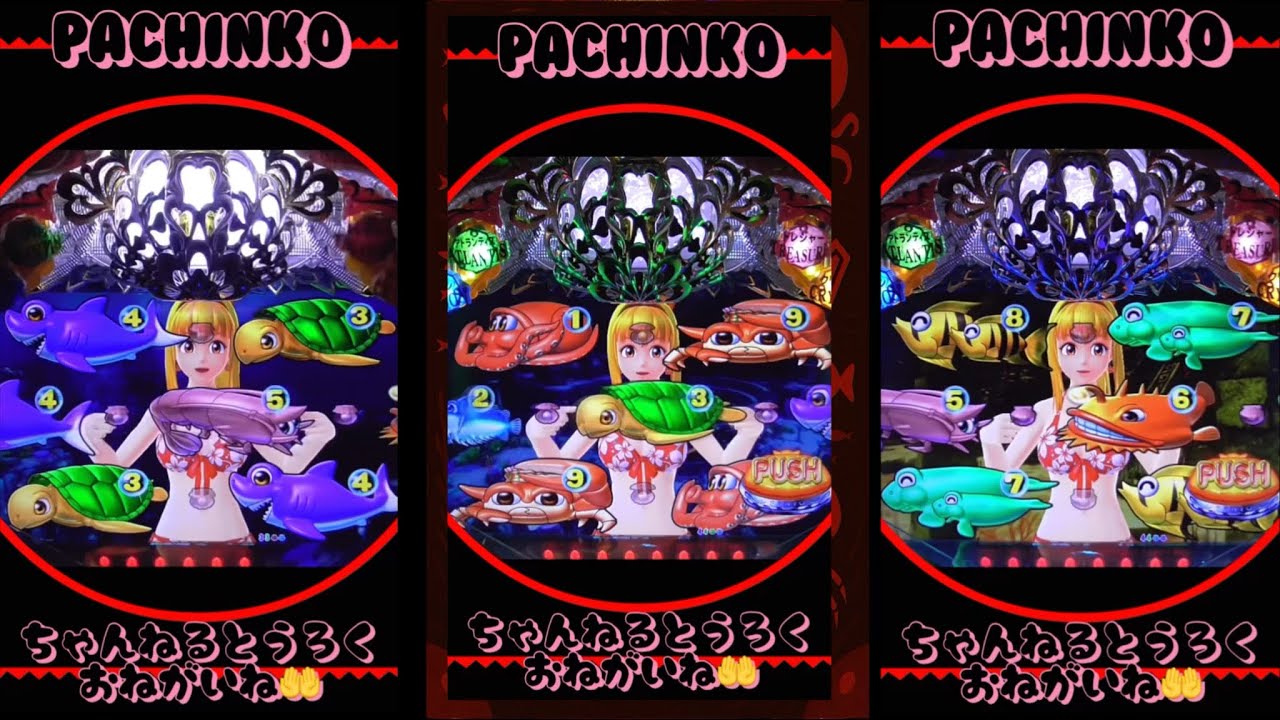 【大海物語④withアグネス•ラム】PACHINKO縦型！2025年10月24日❷実機！thanks、감사、merci