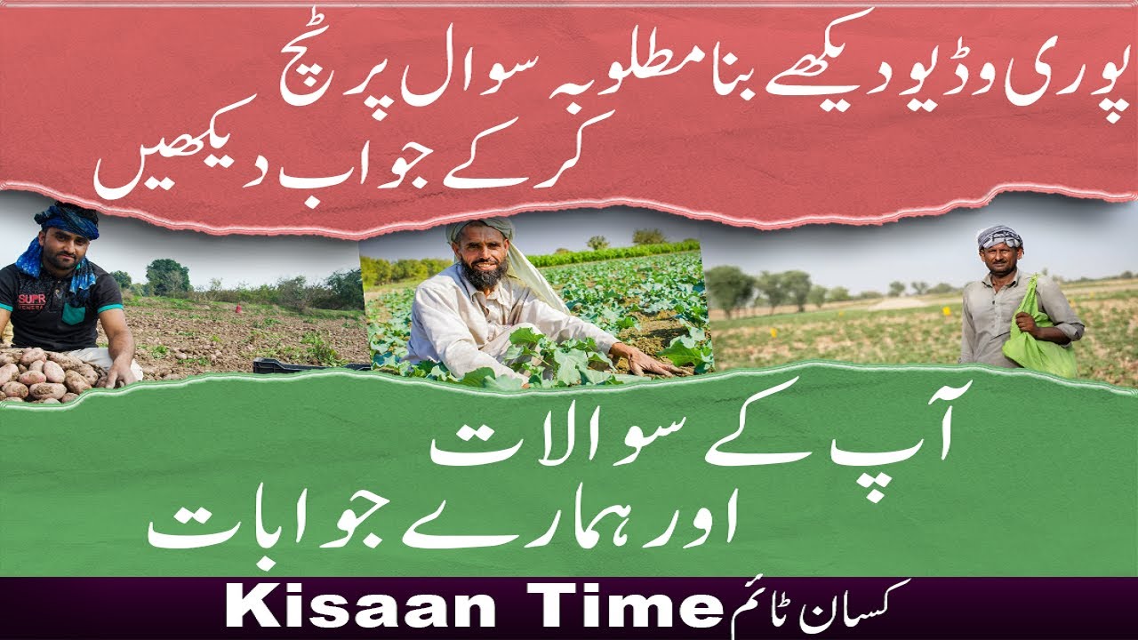 Questions of Farmers & Our Answers on kisan Time کسان ٹائم پر کسانوں کے سوالات اور ہمارے جوابات