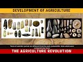 Neolithic Innovations Tools Agriculture and Daily Life