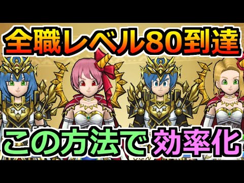 ドラクエウォーク 全職レベル80到達 おすすめのレベル上げ方法と周回場所 Youtube