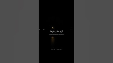 وَإِذا مَسَّ النّاسَ ضُرٌّ دَعَوا رَبَّهُم مُنيبينَ إِلَيهِ | محمد صديق المنشاوي | سورة الروم