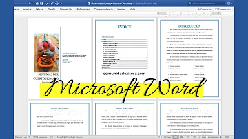 Menús y funciones principales de Microsoft Word 365 (Curso de Word, Power Point y Excel en español)