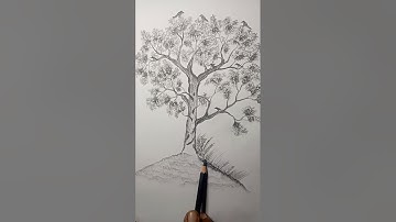 How to Draw a Tree by pencil / real time drawing video step by step