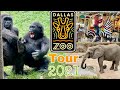 Dallas Zoo Tour | Zoo Animals for Kids | Dallas Zoo Texas, USA | Part-1