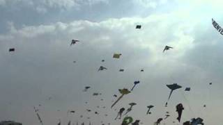 Cerfs-volants Berck 2011 - Ray Bethell