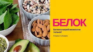 Белки в нашей жизни и не только! Белки в нашей жизни и не только!