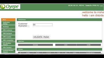 Retailer Web Panel for Instant Money Transfer IMPS /NEFT | Bonrix Software System