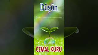 Düşün - Cemal Kuru Resimi