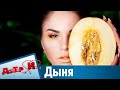 С какими продуктами нельзя есть дыню. “Доктор И“