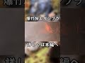 爆竹でガンプラをウェザリングしてみた。【陸戦型ガンダム】