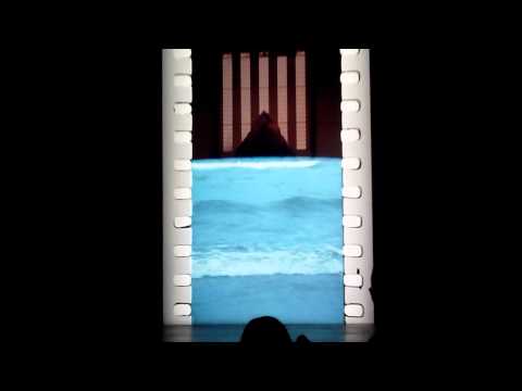 Film by Tacita Dean in the Turbine Hall Tate Modern
