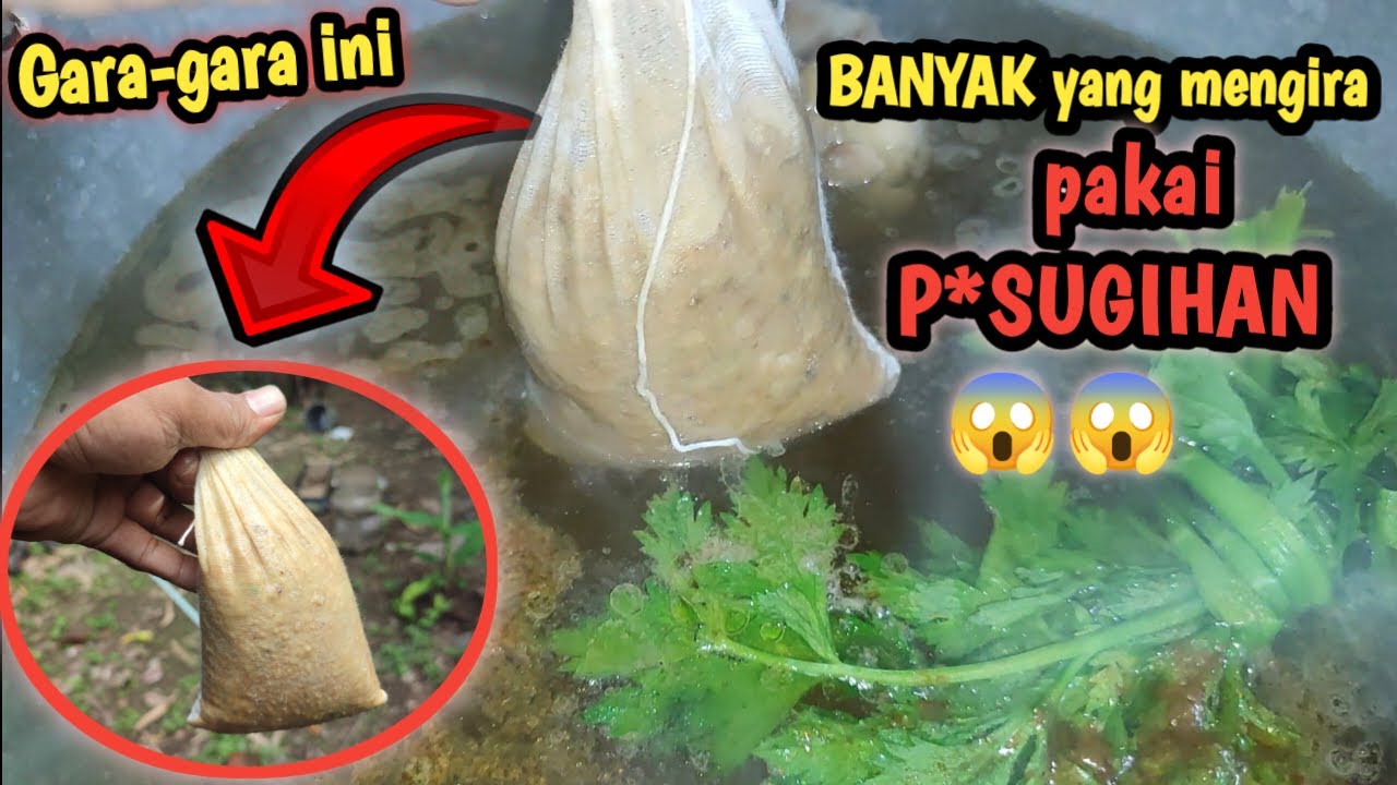 TERNYATA BANYAK YANG BELUM TAU, cara membuat kuah bakso enak gurih dan