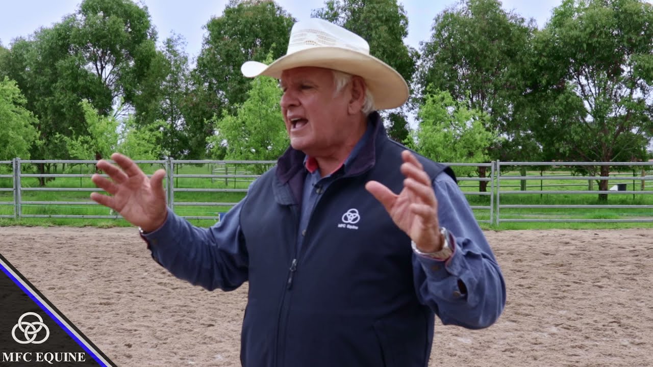 MFC Equine's Michael Costello explains to our youth why they are all horse trainers