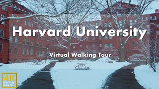 Harvard University  Virtual Walking Tour [4k 60fps]