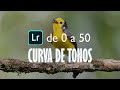 CURSO GRATUITO DE LIGHTROOM de 0 a 50 | Curva de tonos | Ep 2