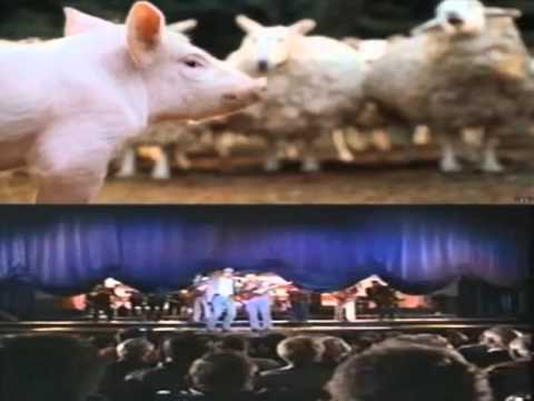 Babe vs. Gordy: Trailer Mashup