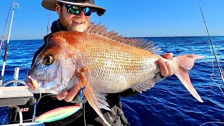 Slow pitch jigging for reef fish! (catch, clean, cook)