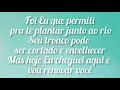 Letra Cheiro das Águas - Neide Martins