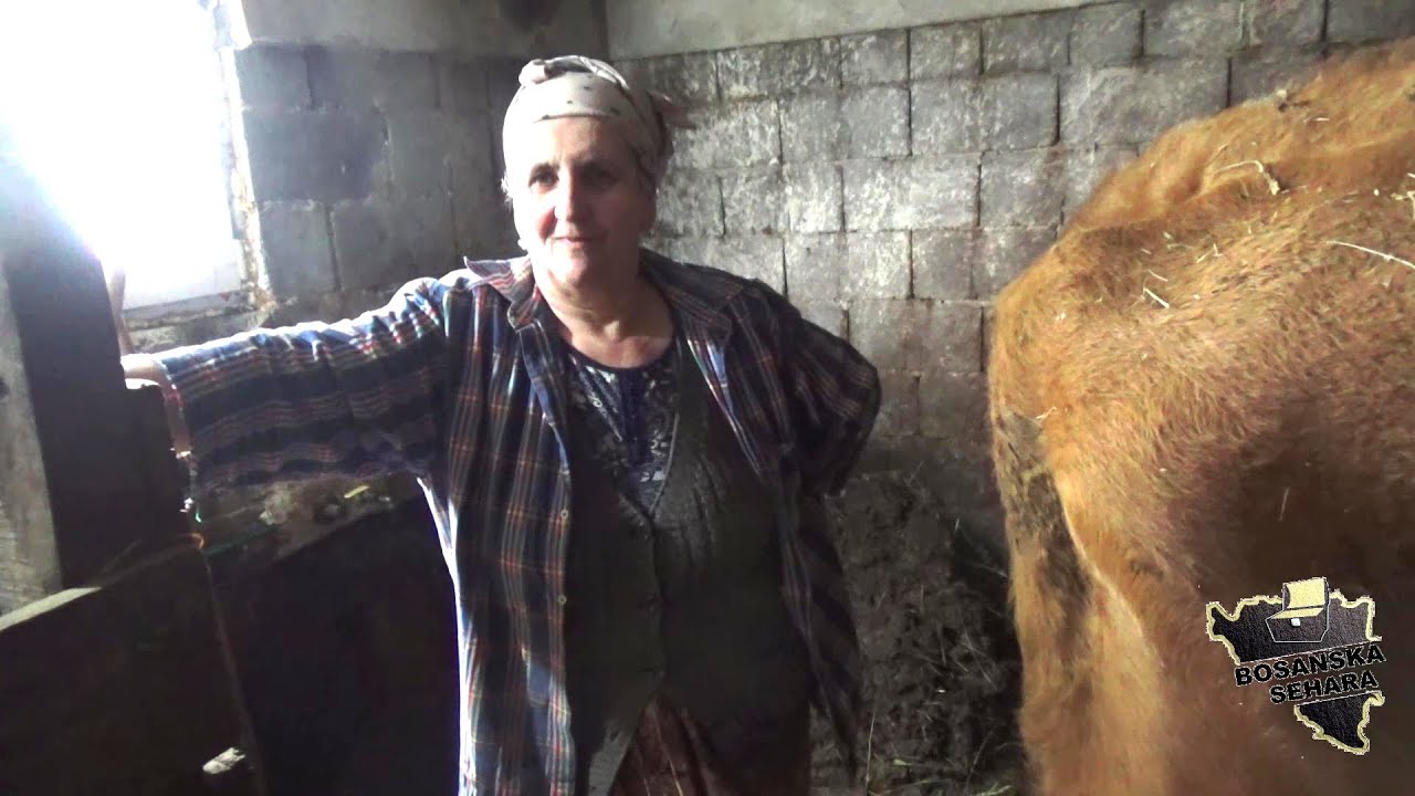 Sve stigne po kući,štali i plus namiriti invalida muža