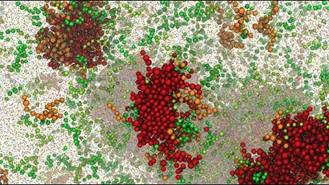 The SAFT coarse graining technique ( molecular simulation of fluids)