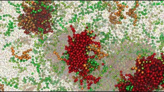 The SAFT coarse graining technique ( molecular simulation of fluids)