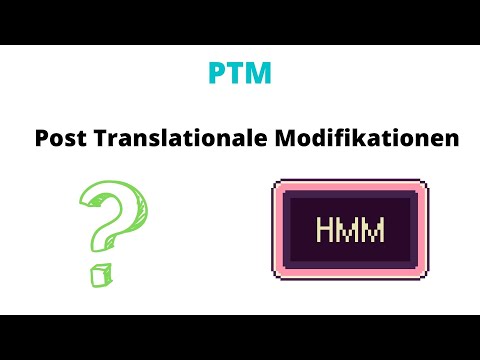 Video: Warum ist die posttranslationale Modifikation wichtig?