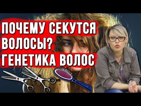 Вопрос: Как предотвратить возникновение сухости волос?