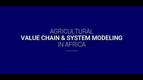 Agricultural Value Chain & System Modeling in Africa