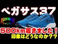 ＃006【俺の相棒】ナイキ　ペガサス37　500km走ってどうだったかレビュー！NIKE