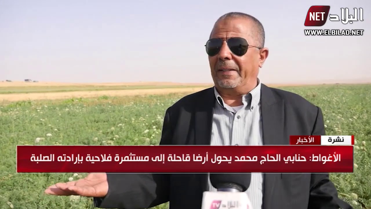 الأغواط : حنابي الحاج محمد يحول أرضا قاحلة إلى مستثمرة فلاحية بإرادته الصلبة